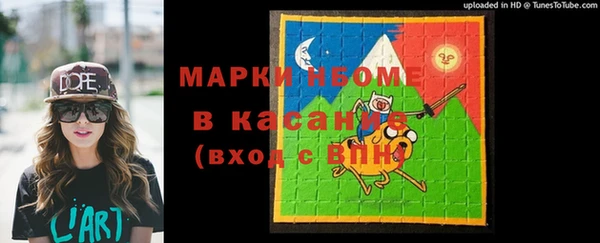 индика Богданович