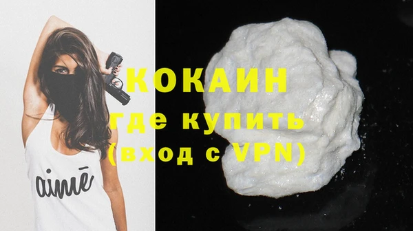 индика Богданович