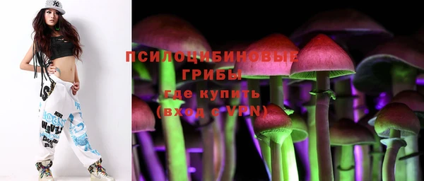 индика Богданович