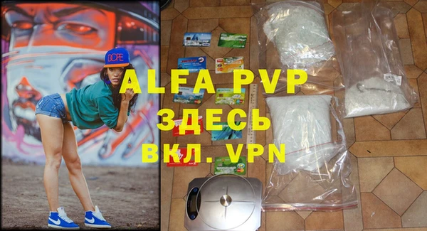 индика Богданович