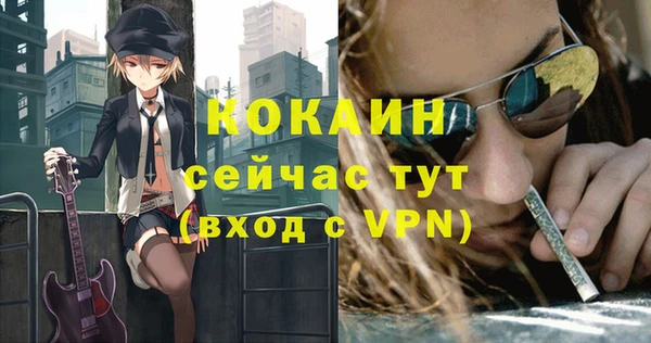 индика Богданович