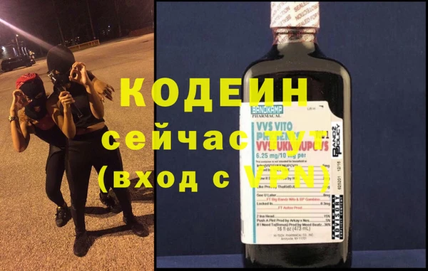 индика Богданович