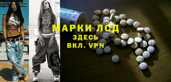 индика Богданович