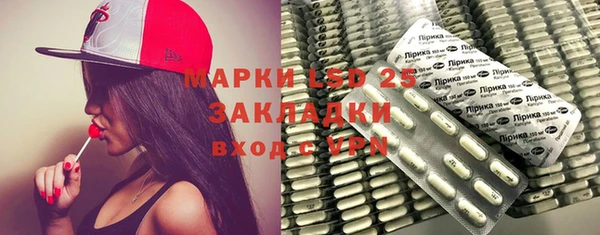 индика Богданович